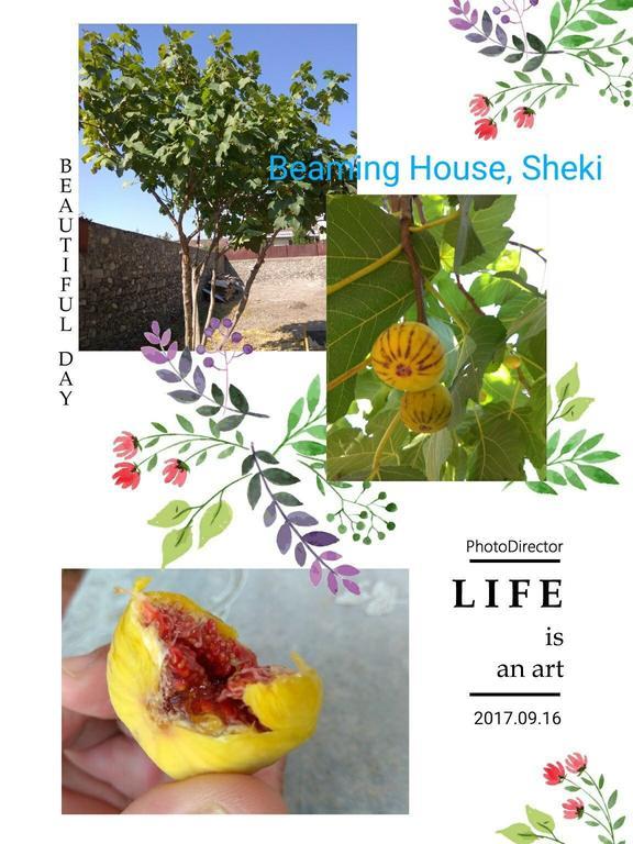 Beaming_House Ξενοδοχείο Şǝki Εξωτερικό φωτογραφία